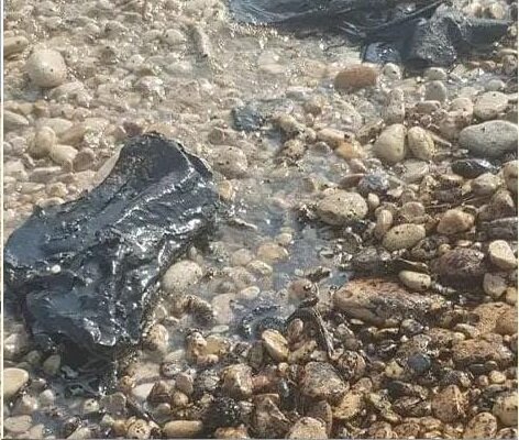 محیط زیست در خطر است؛ قصه ای تکراری در استان بوشهر/ ورود آلودگی‌های نفتی به ساحل و دریا