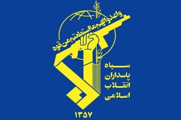 6y5623444.jpg